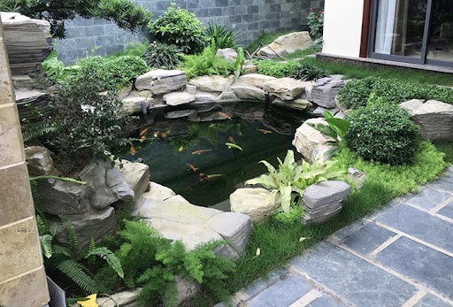  hồ cá koi mini sân vườn